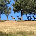 בית נופש Du Parc Saint Hubert, Sejour Nature En Aveyron Montrozier