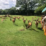 Du Parc Saint Hubert, Sejour Nature En Aveyron בית נופש