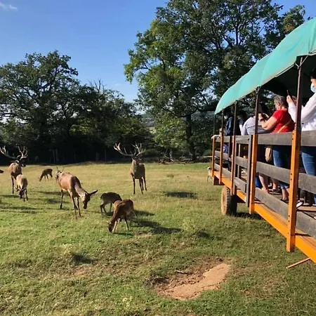3 Etoiles Avec Spa, Vue Sur Parc Animalier Montrozier