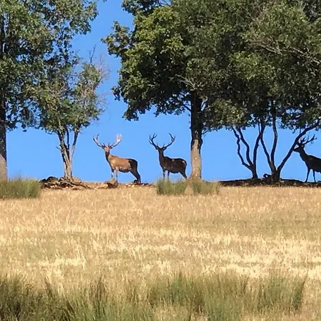 בית נופש Du Parc Saint Hubert, Sejour Nature En Aveyron Montrozier