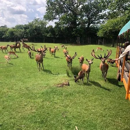 Du Parc Saint Hubert, Sejour Nature En Aveyron בית נופש