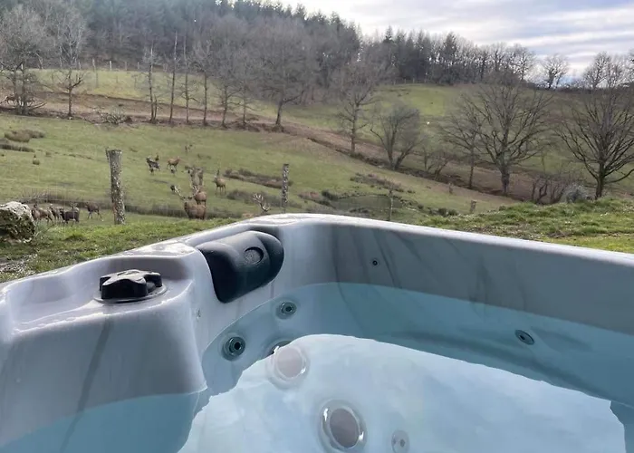 3 Etoiles Avec Spa, Vue Sur Parc Animalier Montrozier